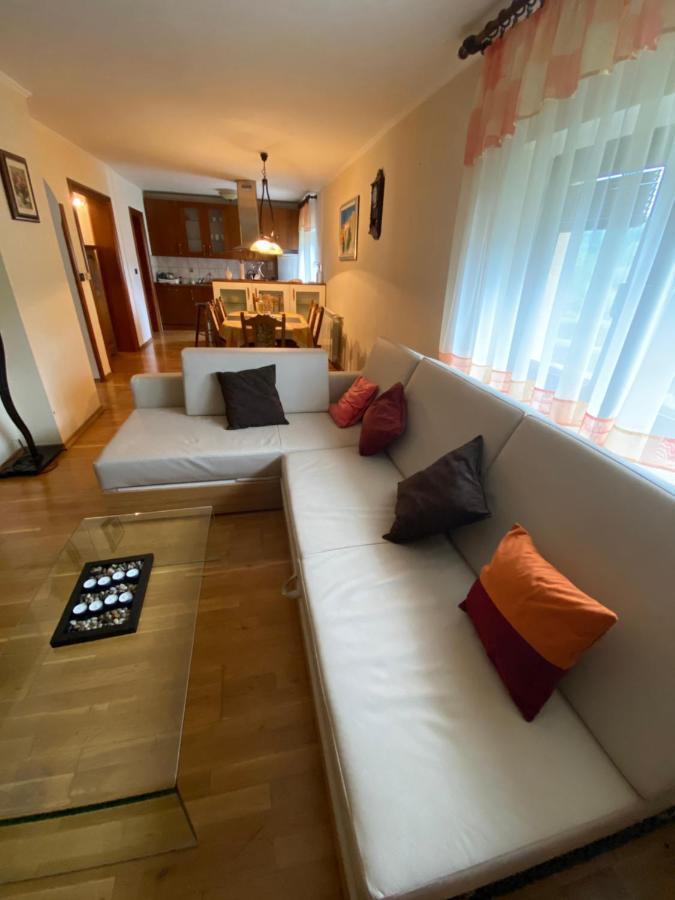 Apartment Tody'S Fužine Exteriör bild